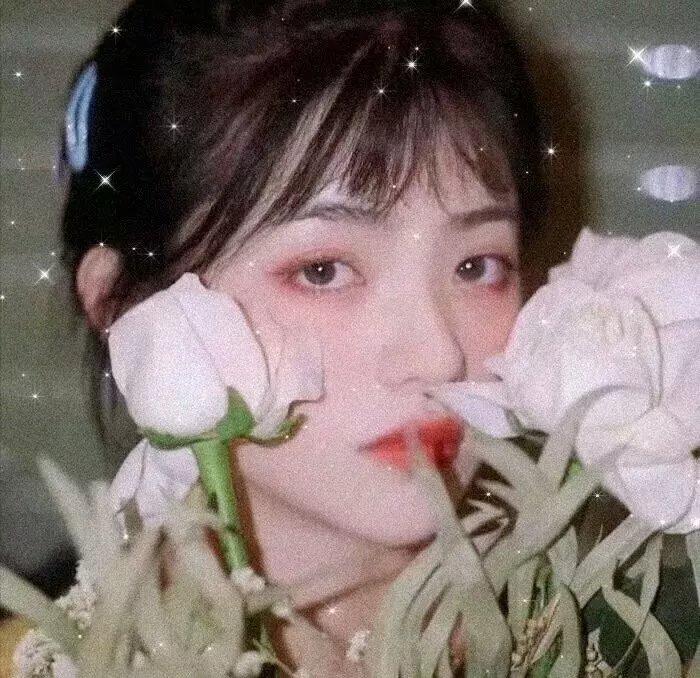 黑色郁金香